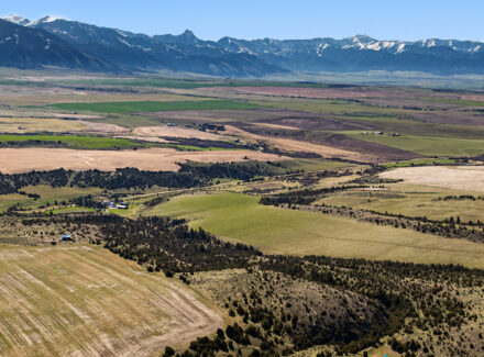 Aerial view of a patchwork valley with green and tan fields and a distant snow-capped mountain range under a clear blue sky, horizon wide and expansive.