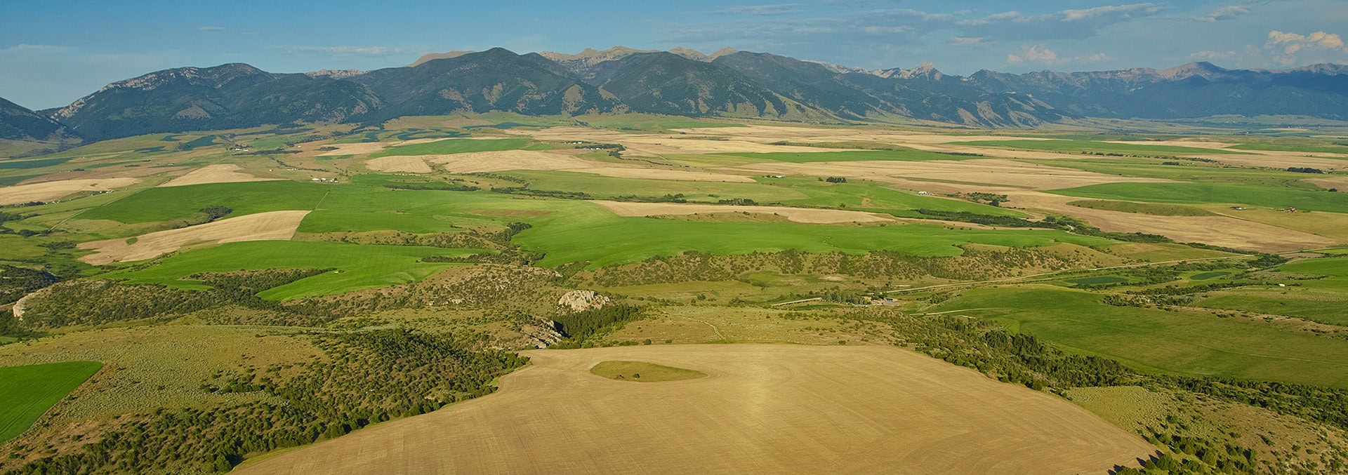 Aerial view of rolling farmland with green fields and tan tilled plots, with a mountain range on the horizon.