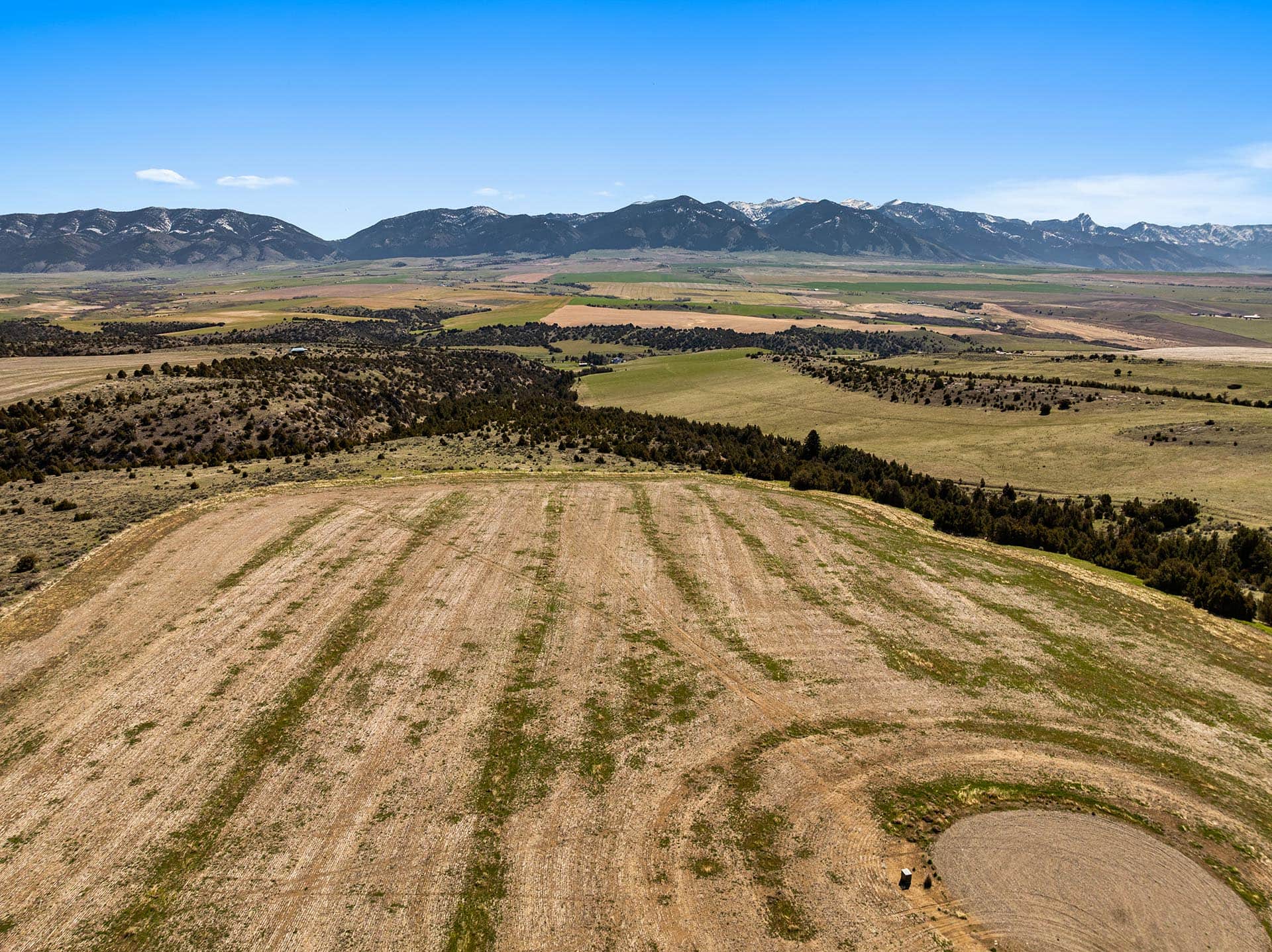 montana ridgeline bridger montana whitetail hollow at sxs ranch