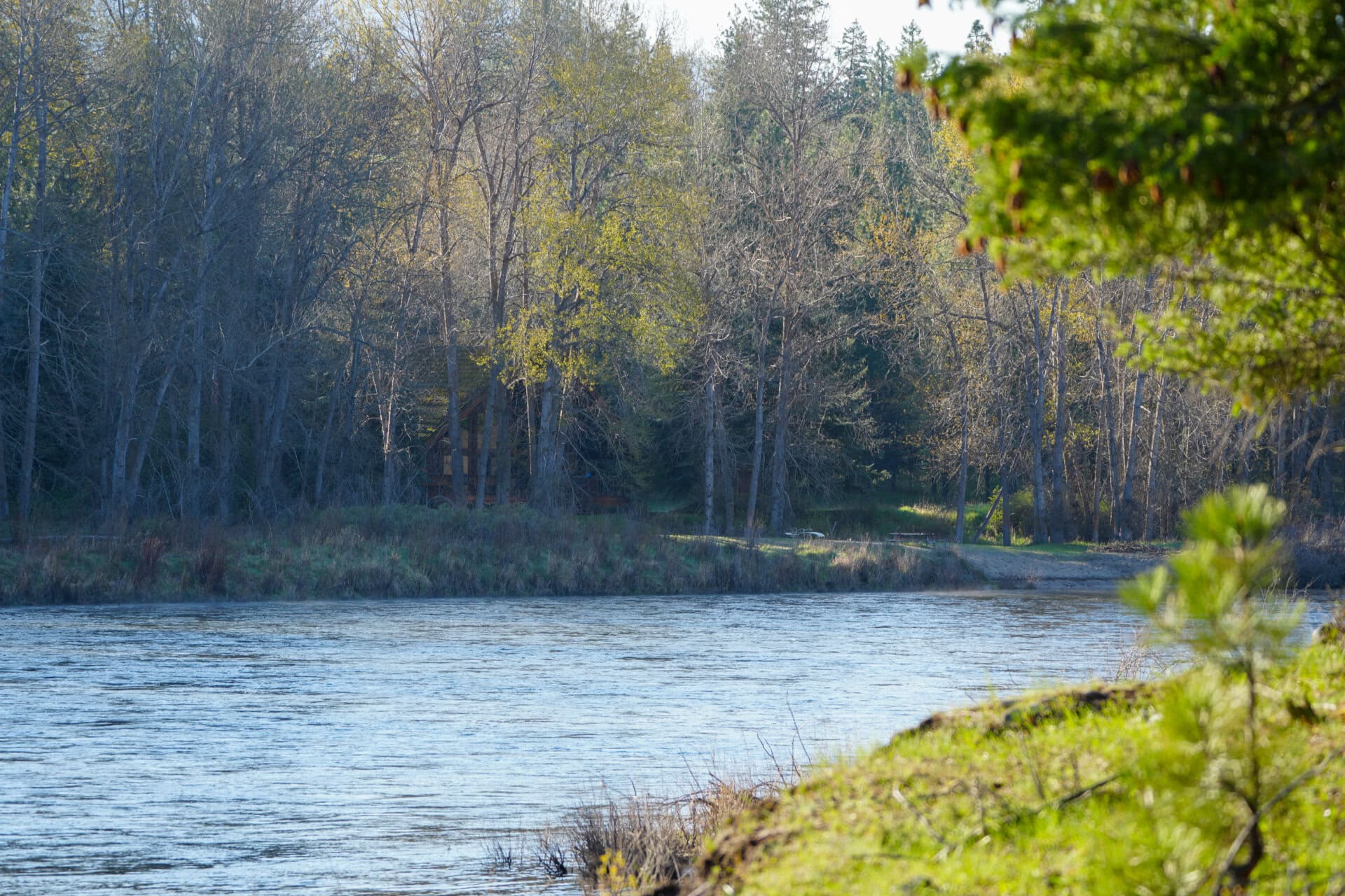 morning riverbank montana clark fork river sporting ranch