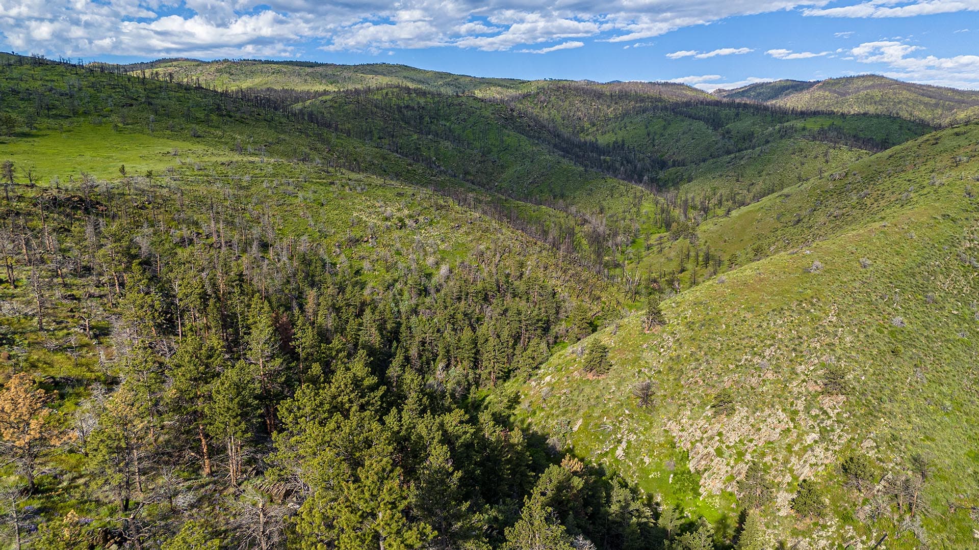 mountain valley land colorado bar d ranch