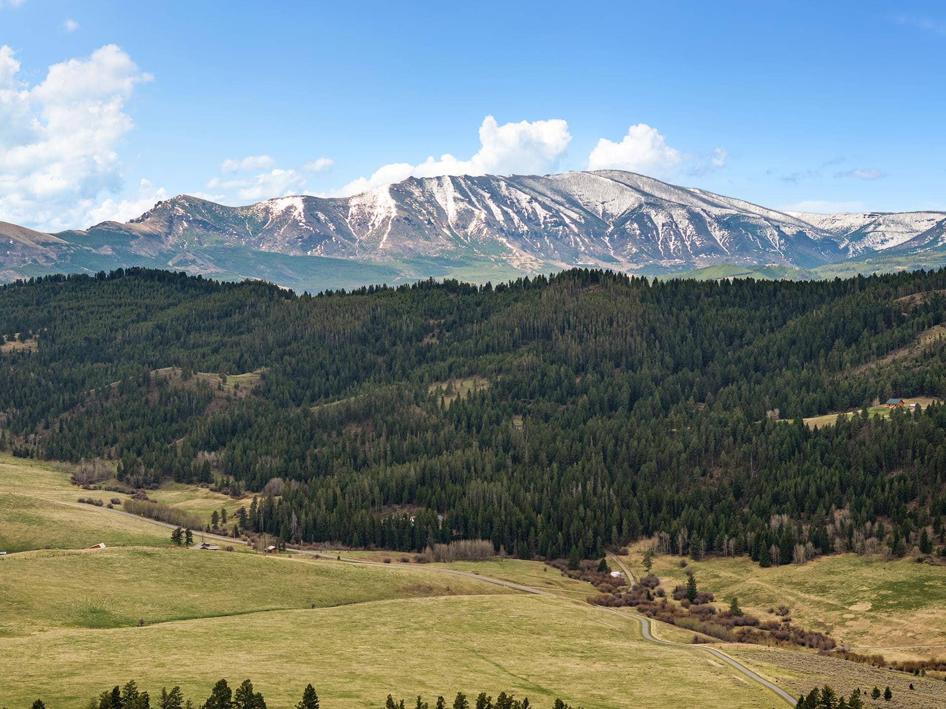 Open valley with rolling meadows, a winding road, and a forested hillside beneath a snow-dusted mountain range.