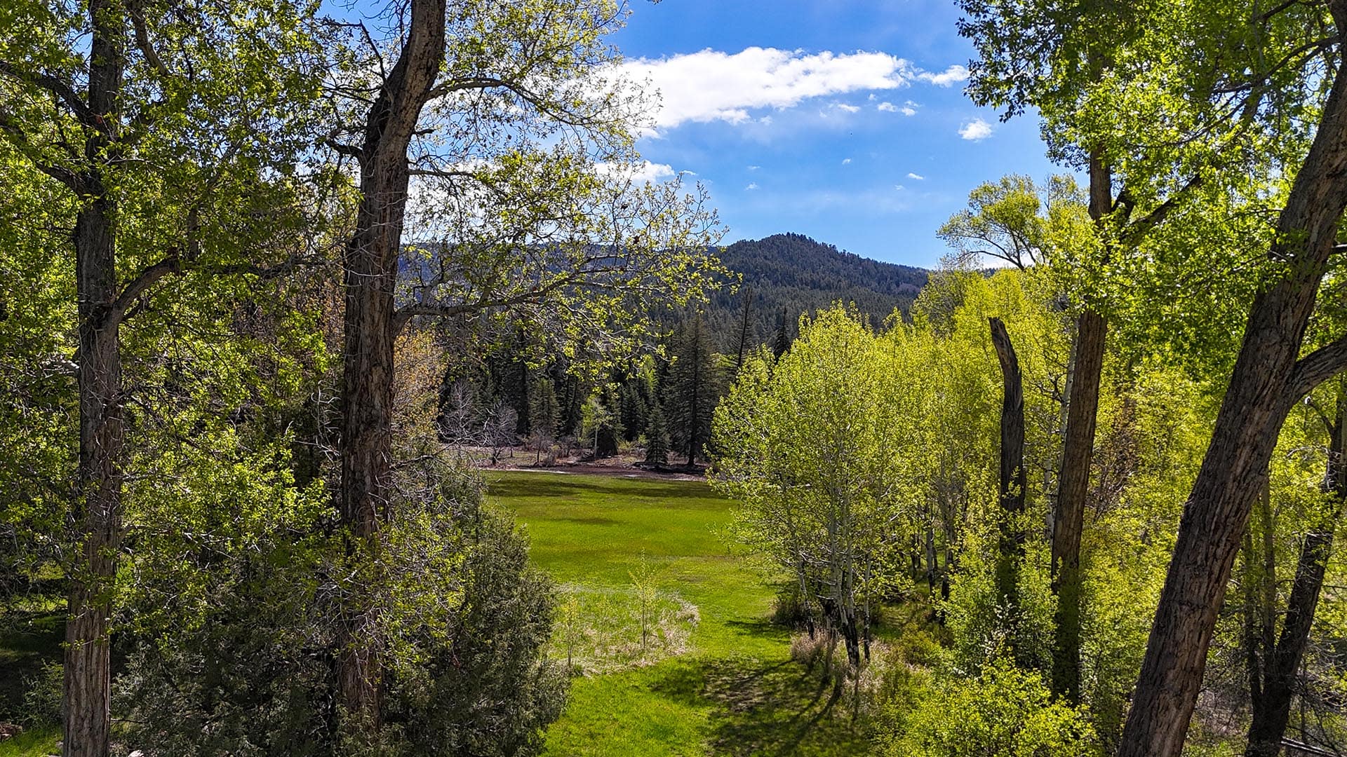 mountain view meadow residential estate new mexico old canones creek ranch