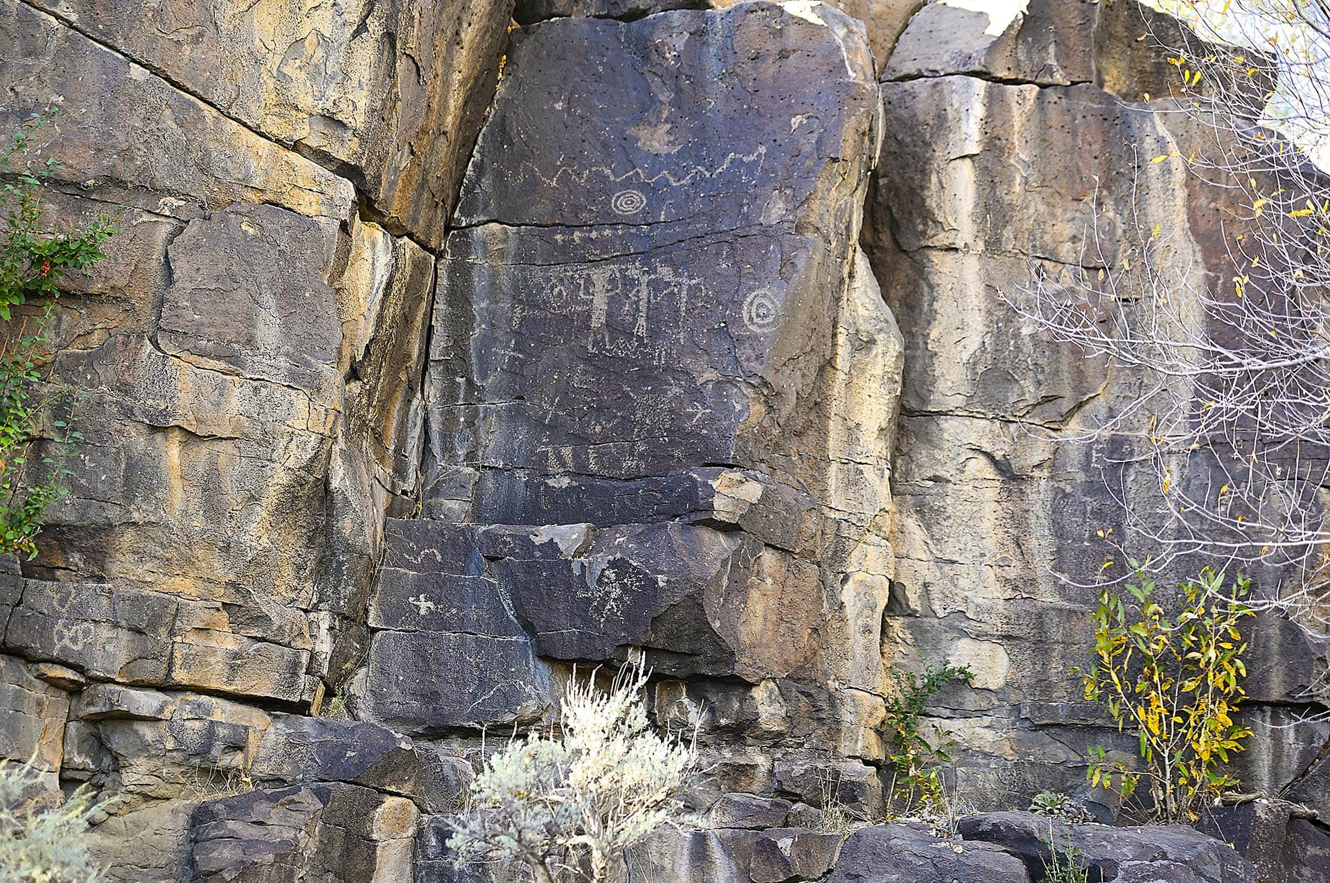 native petroglyphs new mexico dos rios