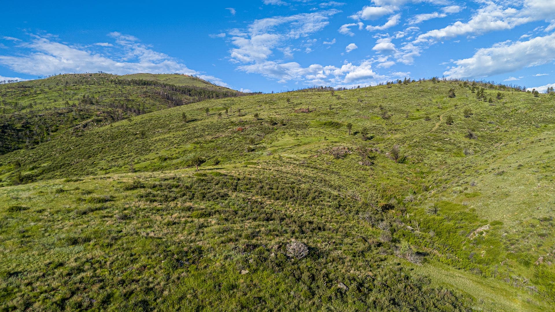 natural open space land colorado bar d ranch