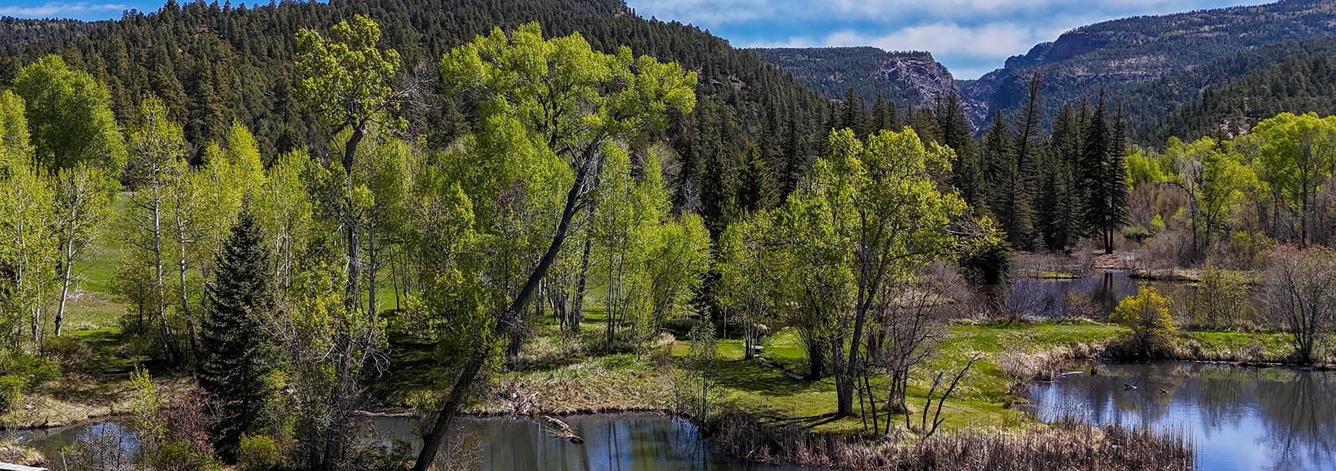 new mexico land for sale old canones creek ranch