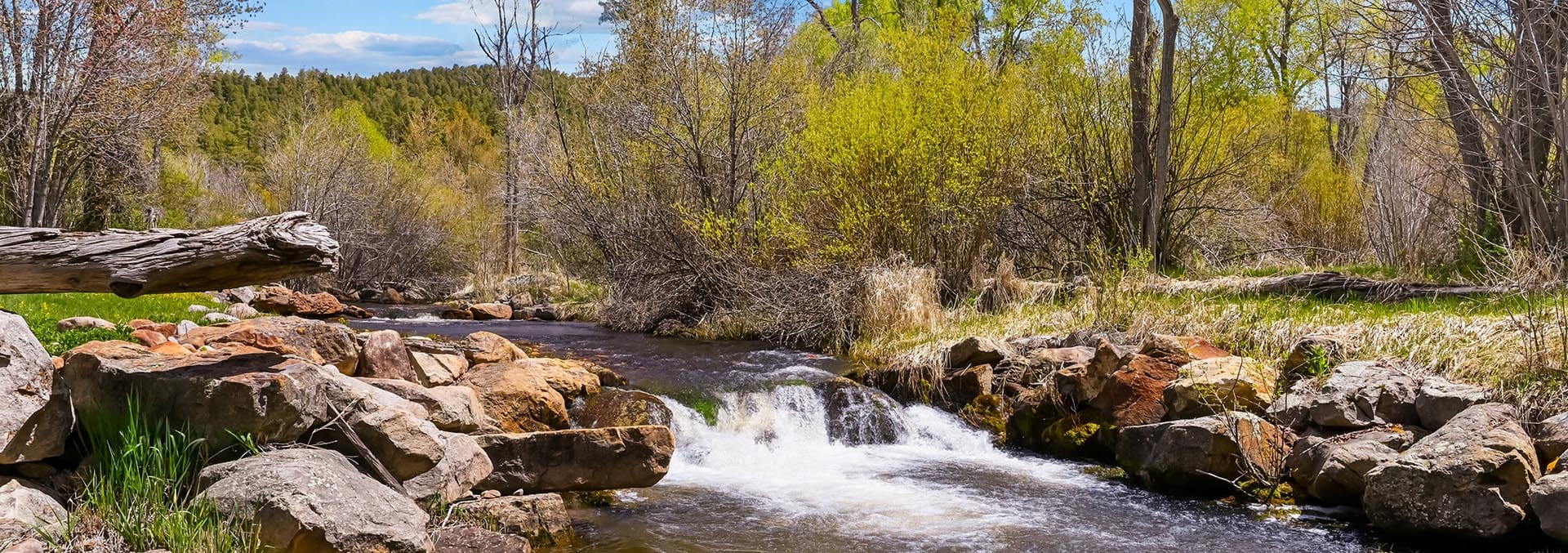 new mexico ranches for sale old canones creek ranch