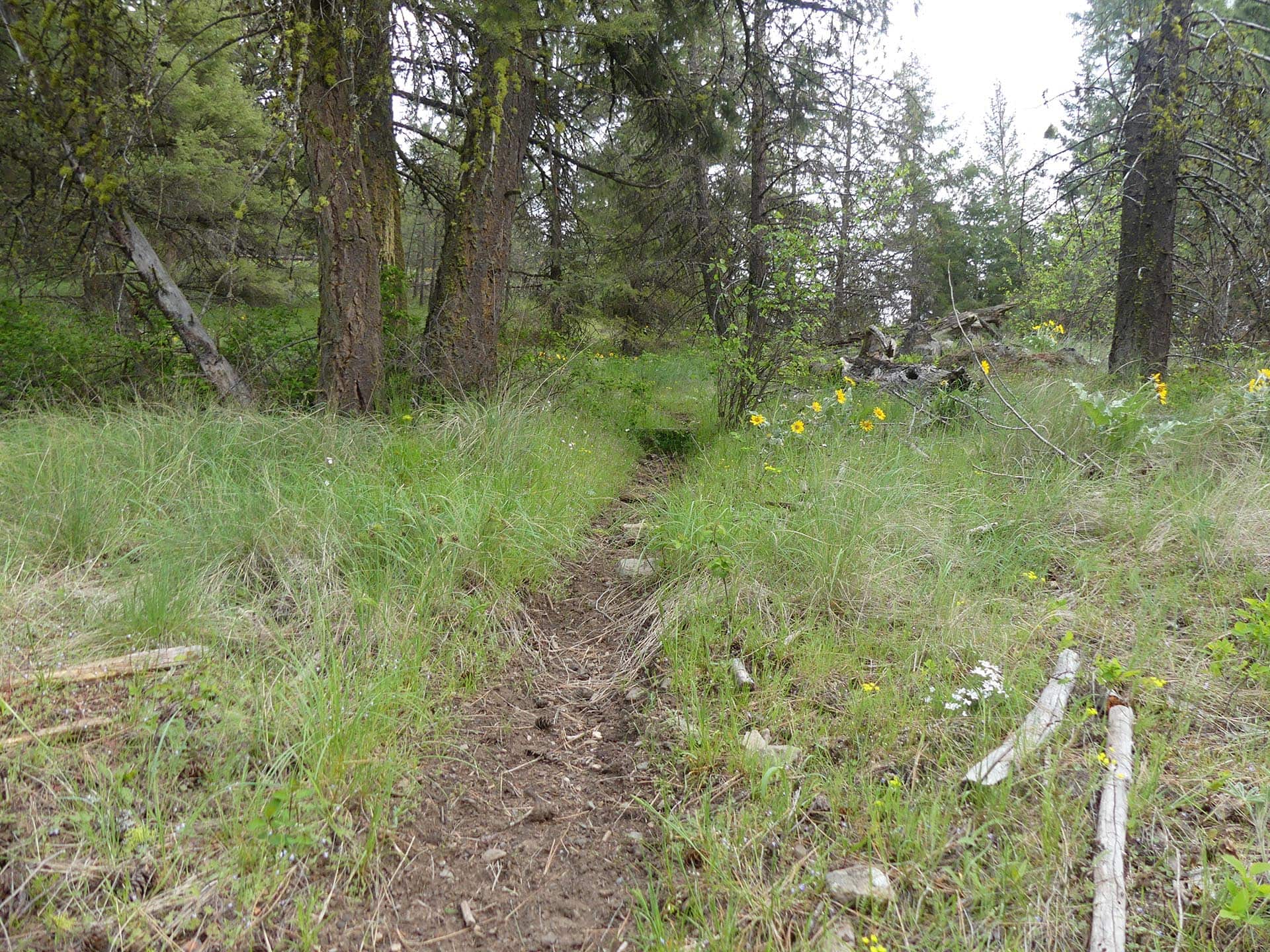 northwest ranch property washington elk ridge