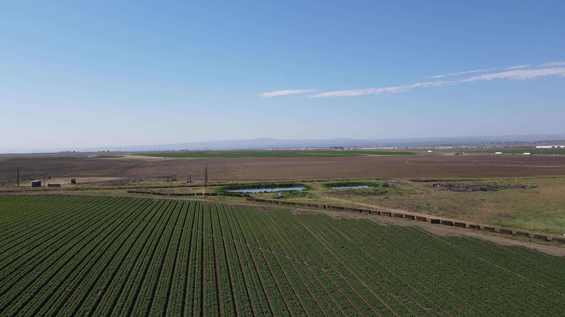 onsite ponds for irrigating washington preston organic irrigated farm