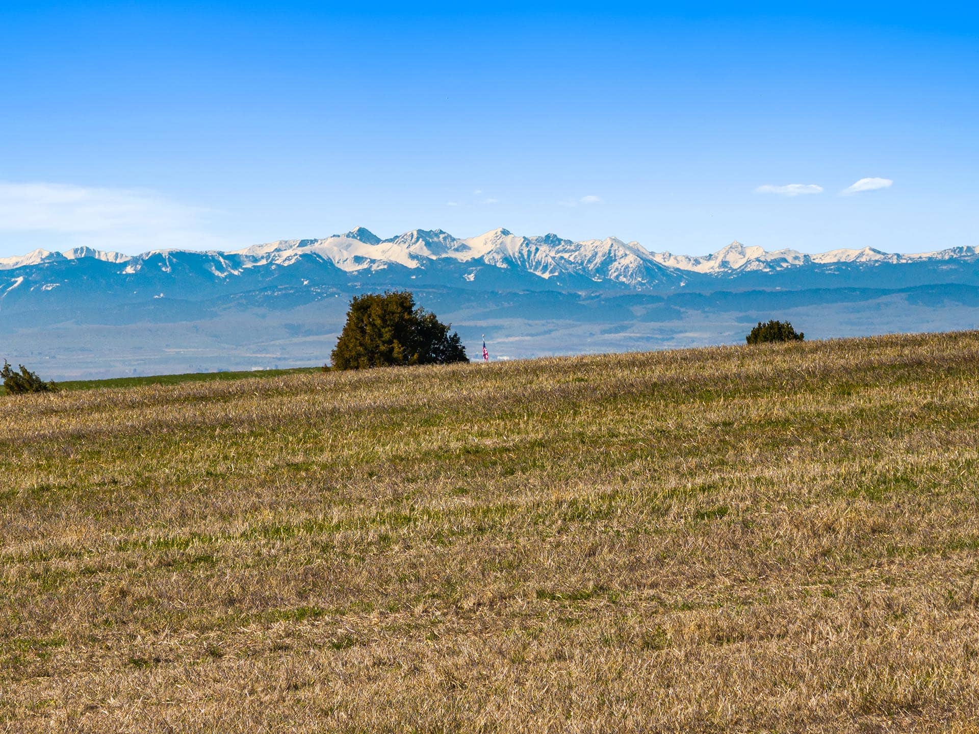 open grazing land with juniper trees and snow mountains montana golden meadow at sxs ranch