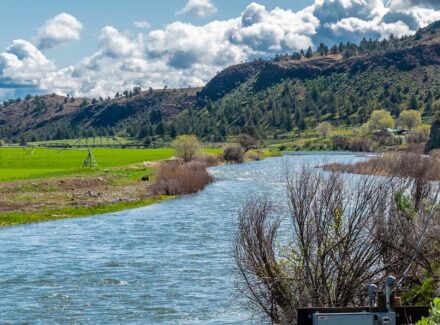Green fields irrigated by a center-pivot system run alongside a winding river, with hills in the distance under a bright, partly cloudy sky.