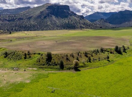 A wide river winds through a green valley with fields, trees, and distant mountains under a partly cloudy sky, aerial view.