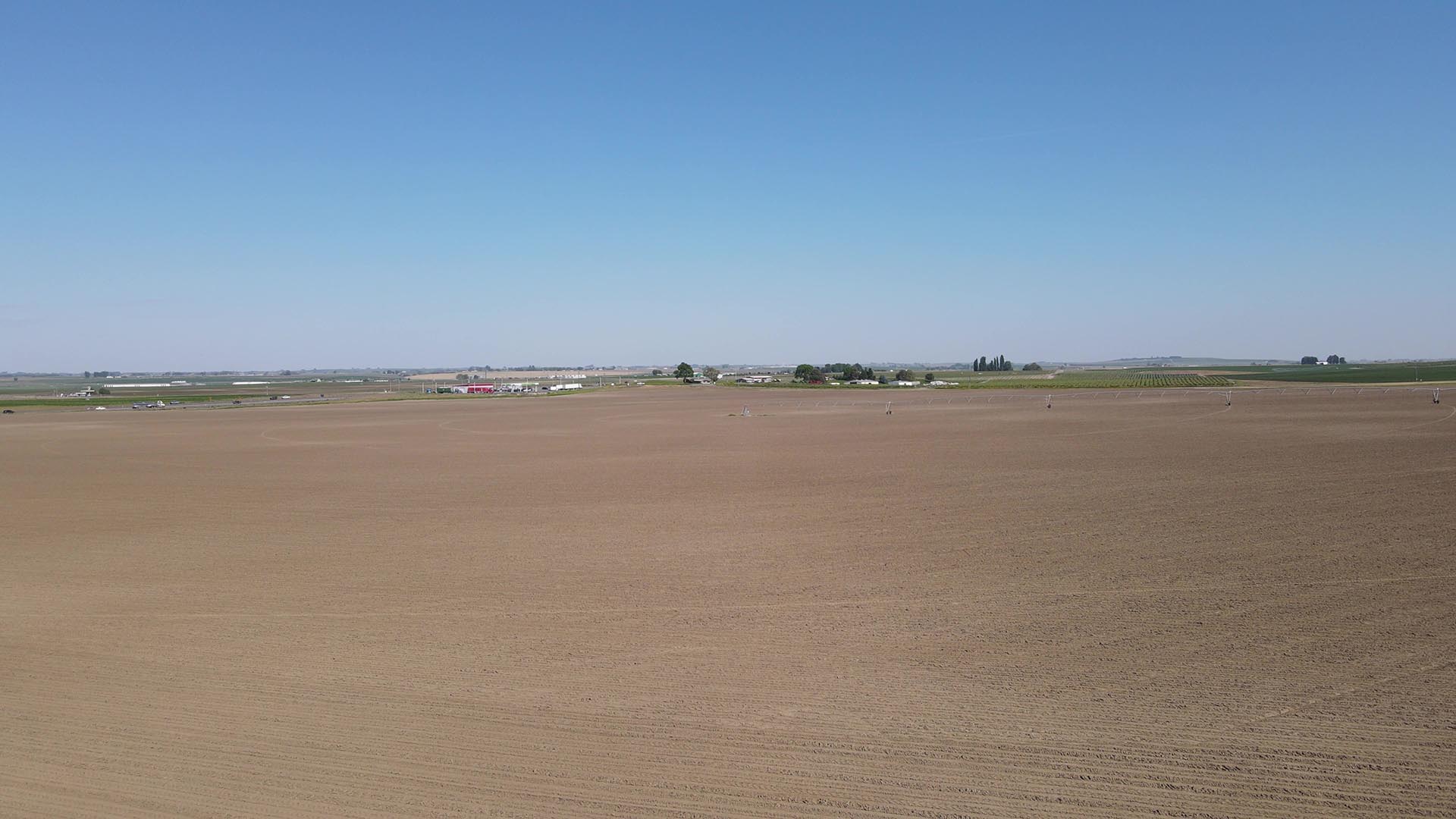 organic farm washington preston organic irrigated farm