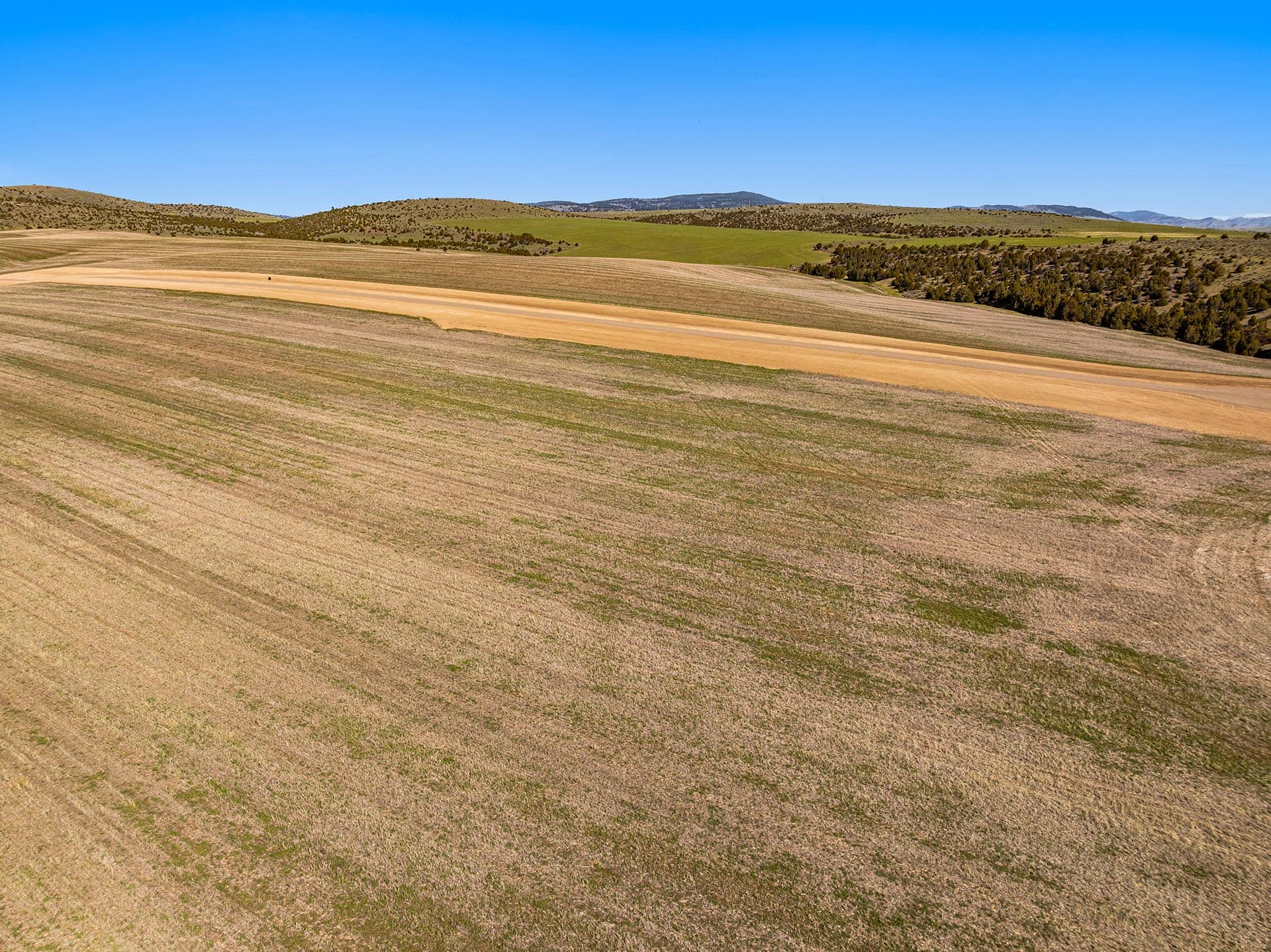 patterned agricultural fields on rolling hills montana golden meadow at sxs ranch