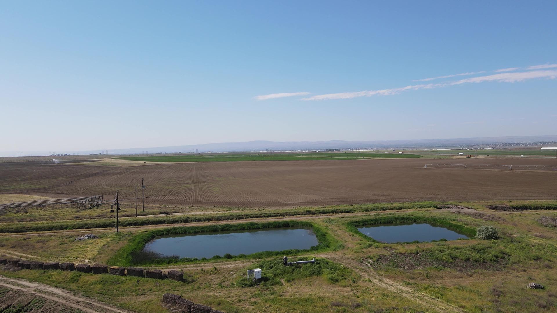 pond for irrigation washington preston organic irrigated farm