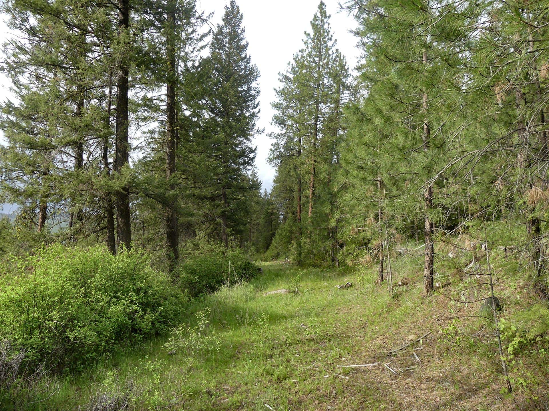 premium land investment washington elk ridge