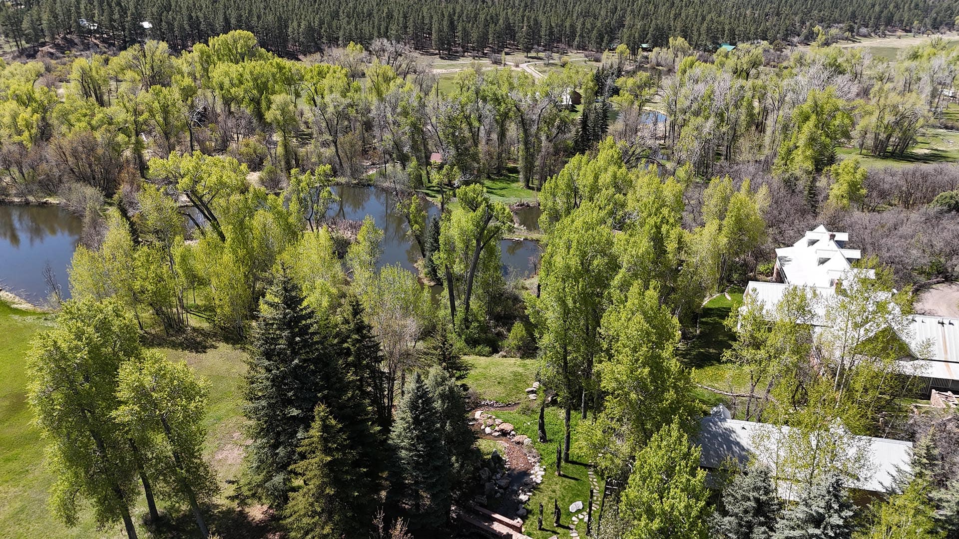 property for sale aerial view with large pond and forest new mexico old canones creek ranch