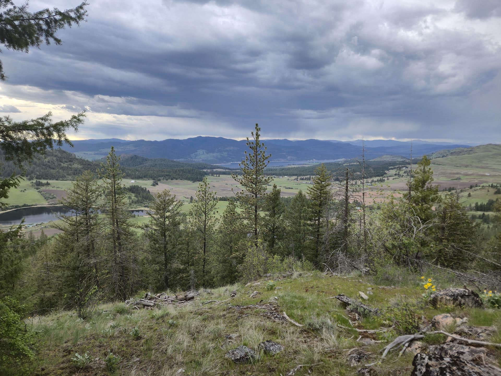 ranch land for sale washington elk ridge