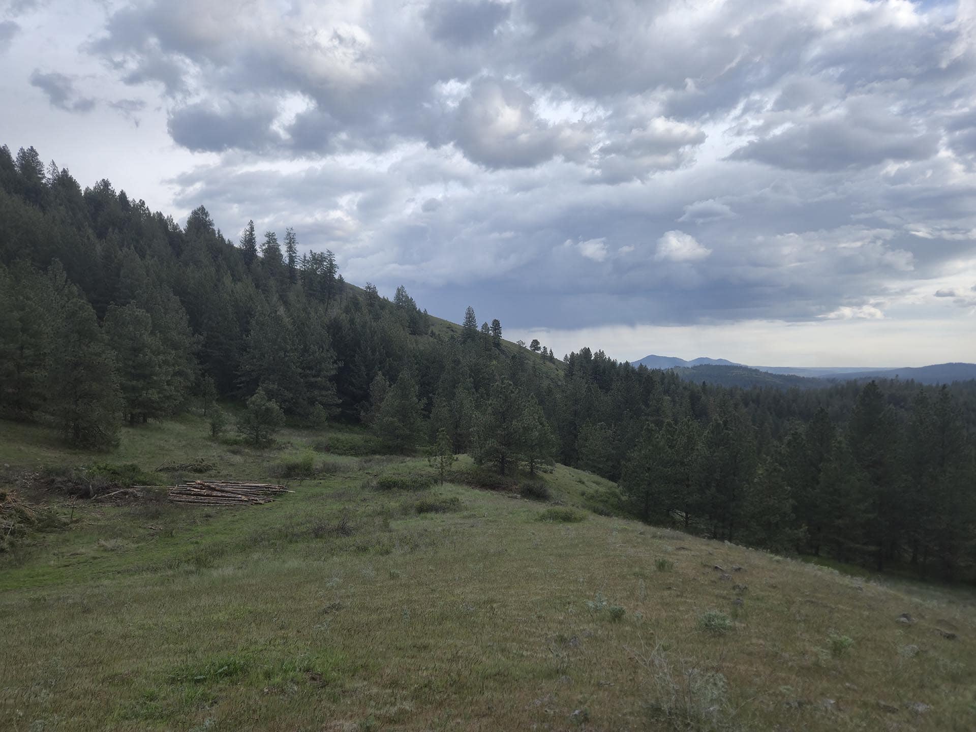 recreational acreage washington elk ridge