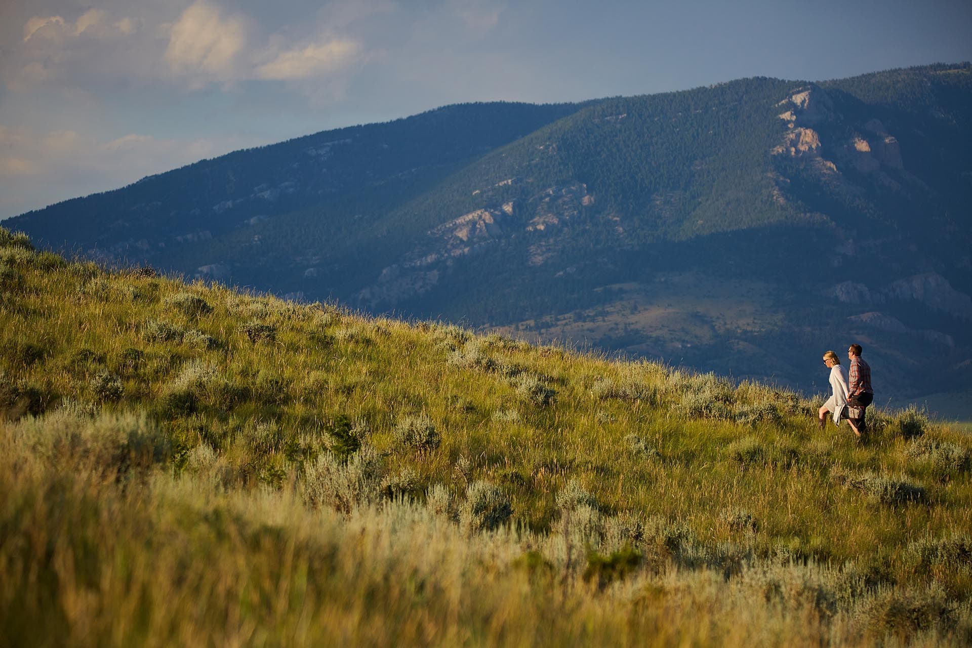 recreational land for sale montana golden meadow at sxs ranch