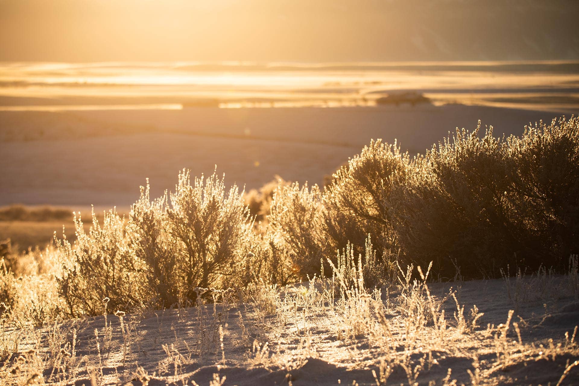 recreational land for sale montana skinner road sanctuary at sxs ranch