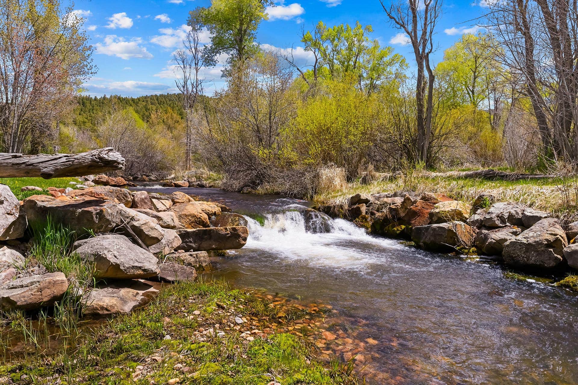 residential estate for sale with flowing creek new mexico old canones creek ranch