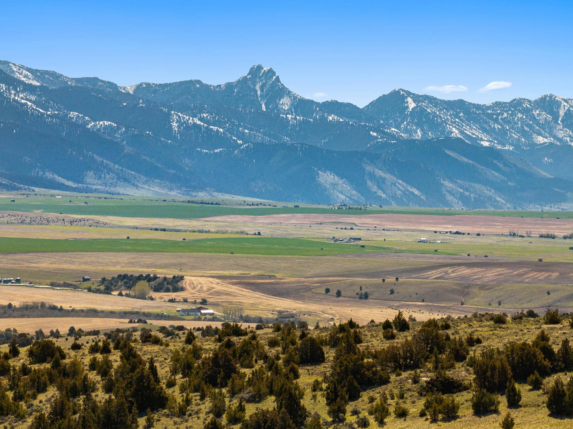 rigeline mountain view montana whitetail hollow at sxs ranch