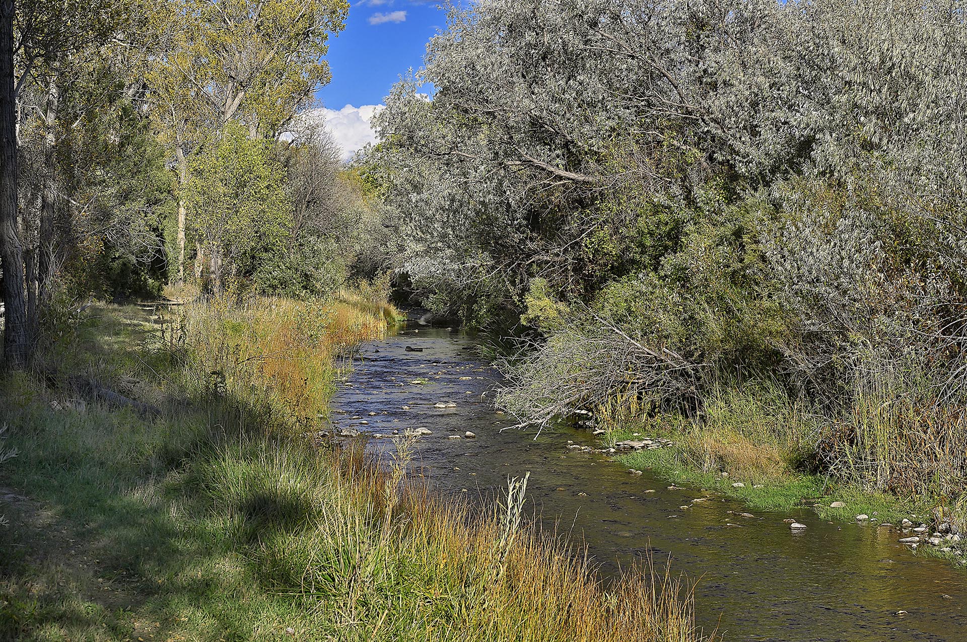 rio pueblo new mexico dos rios