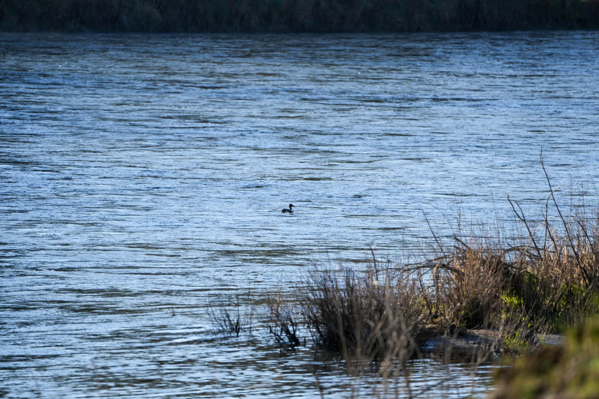 river duck montana clark fork river sporting ranch