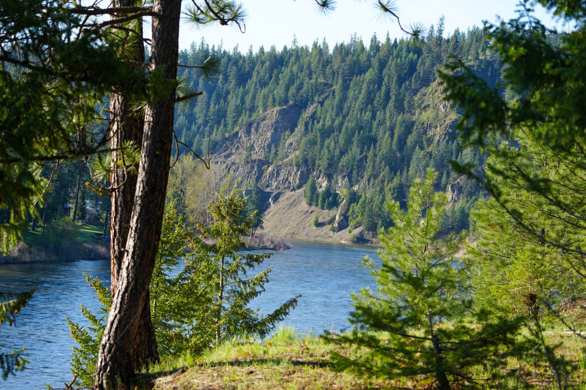 river view montana clark fork river sporting ranch