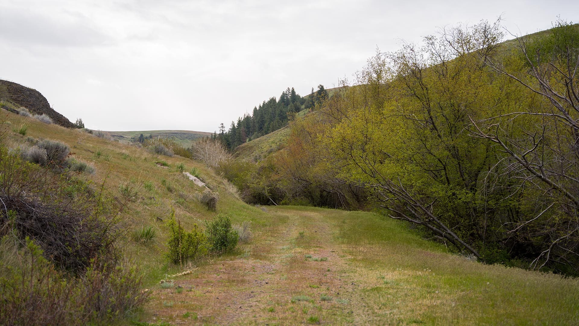 road thorn oregon thorn creek ranch