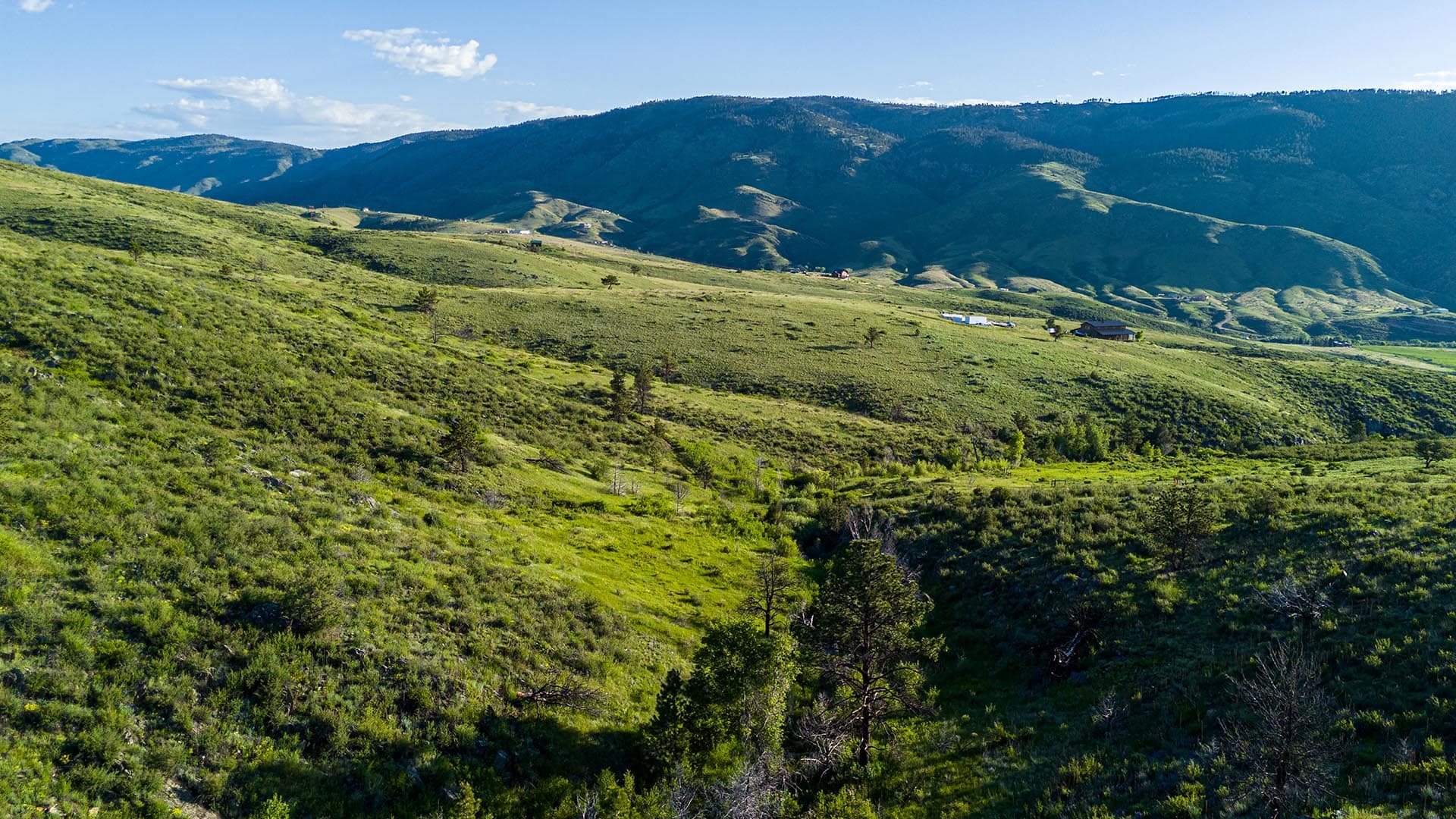rolling green hills 467 1 acres for sale colorado bar d ranch