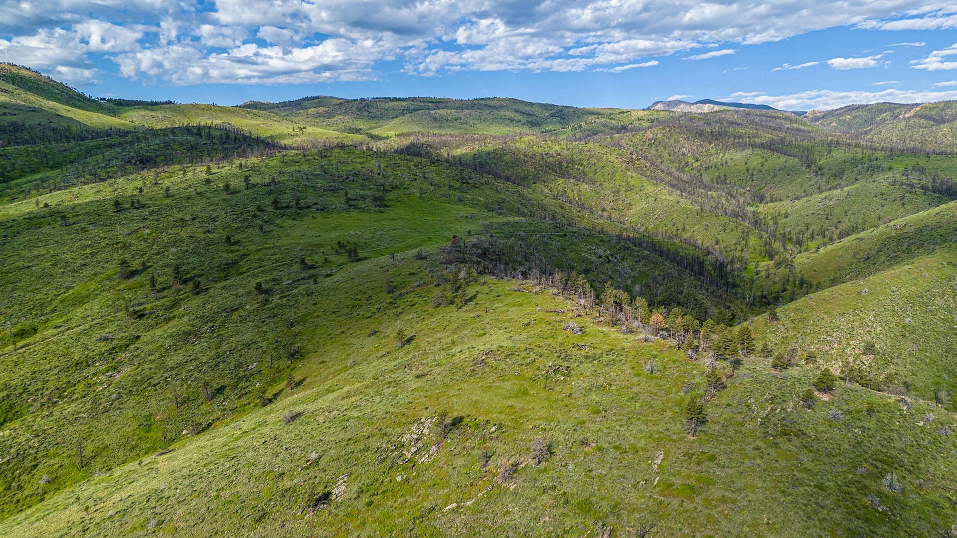 rolling green hills for sale colorado bar d ranch
