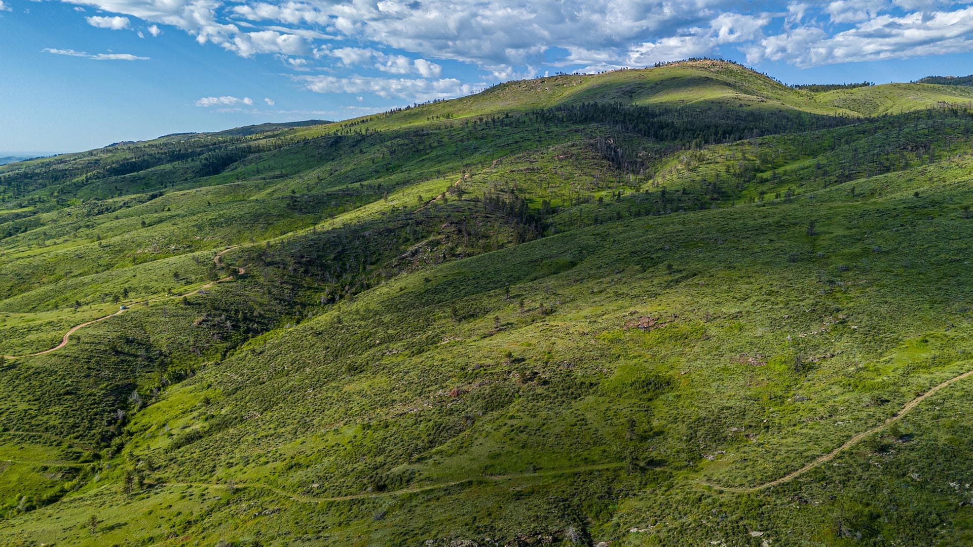 rolling green hills land for sale colorado bar d ranch