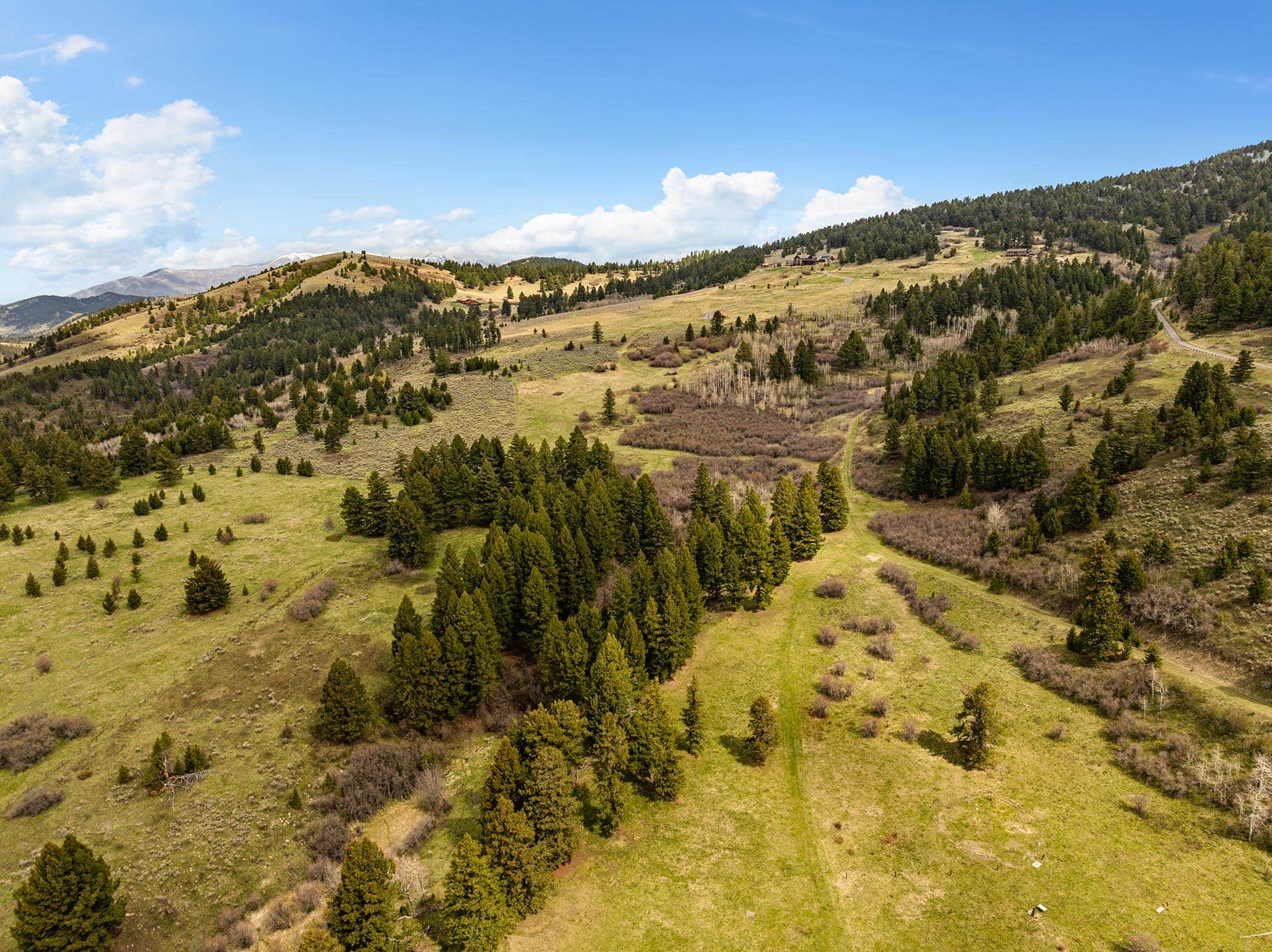rolling hills and timber land montana montana harrison hollow