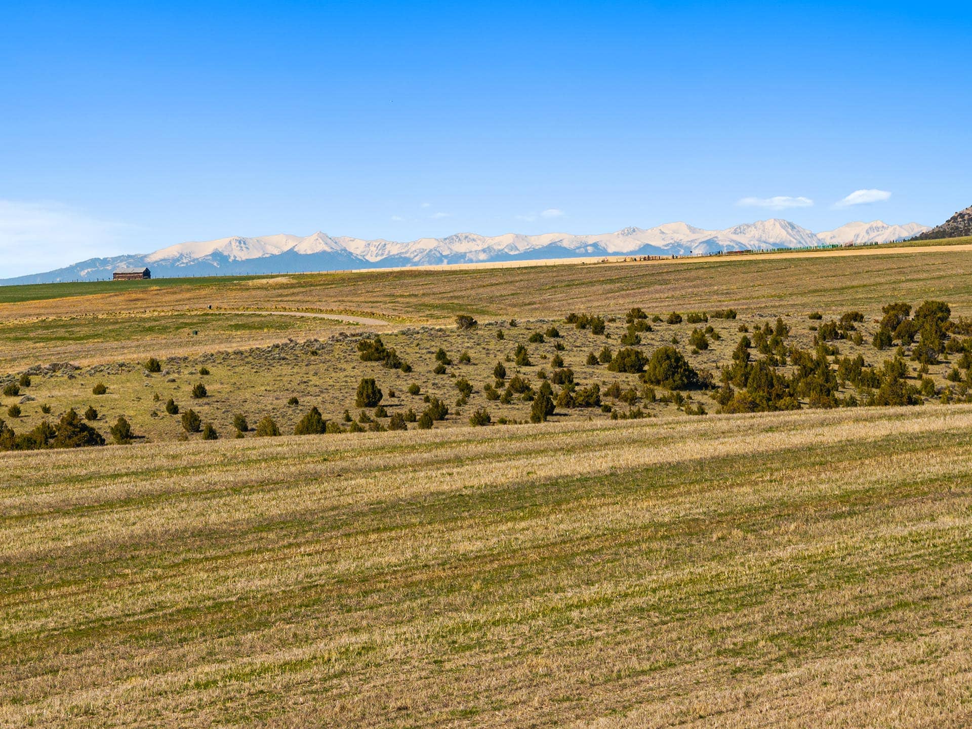 rolling hills with scrub brush and distant barn land montana golden meadow at sxs ranch