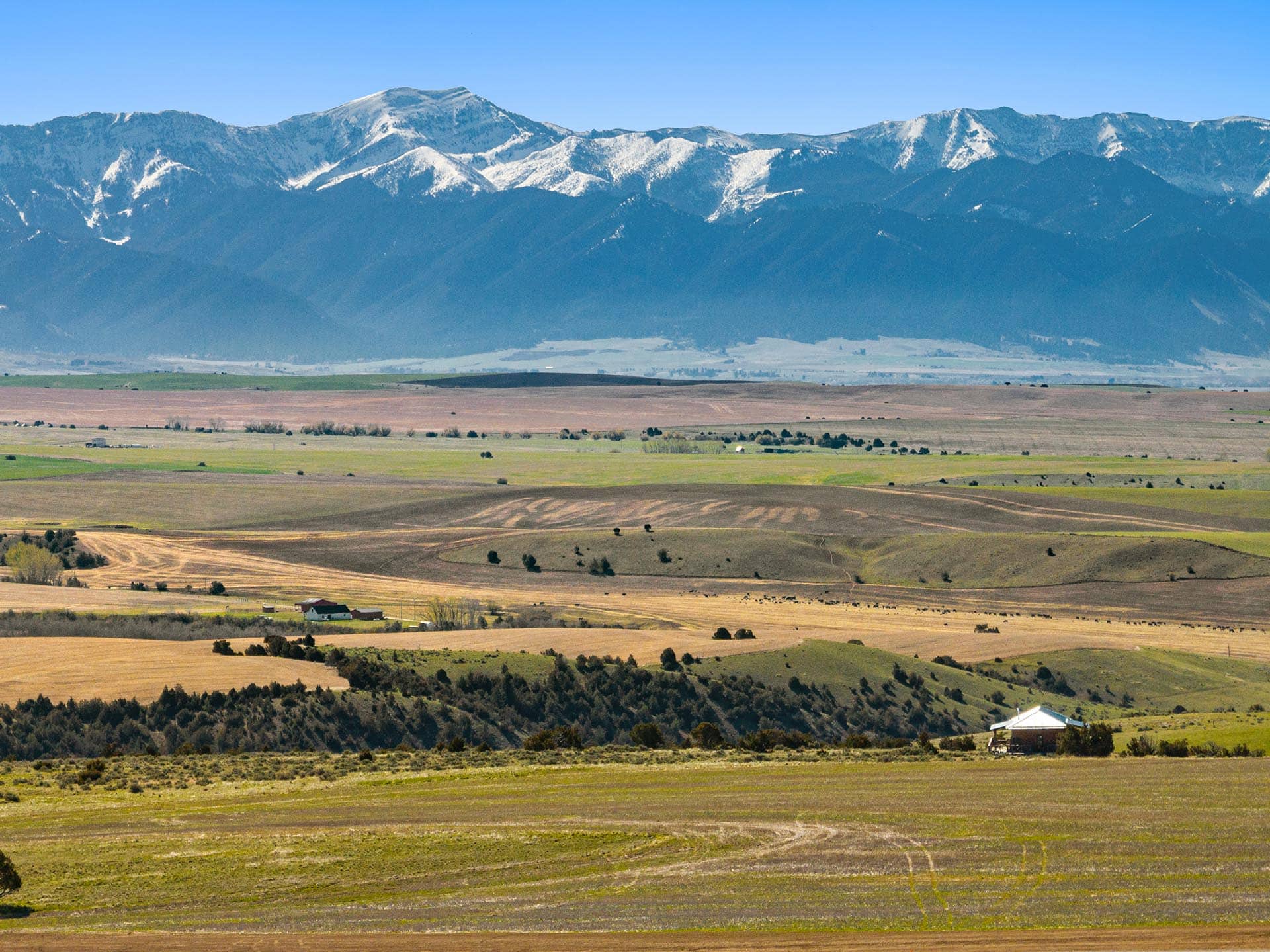 Snow-capped mountains rise behind open fields and scattered farmhouses under a clear blue sky in a wide valley landscape.