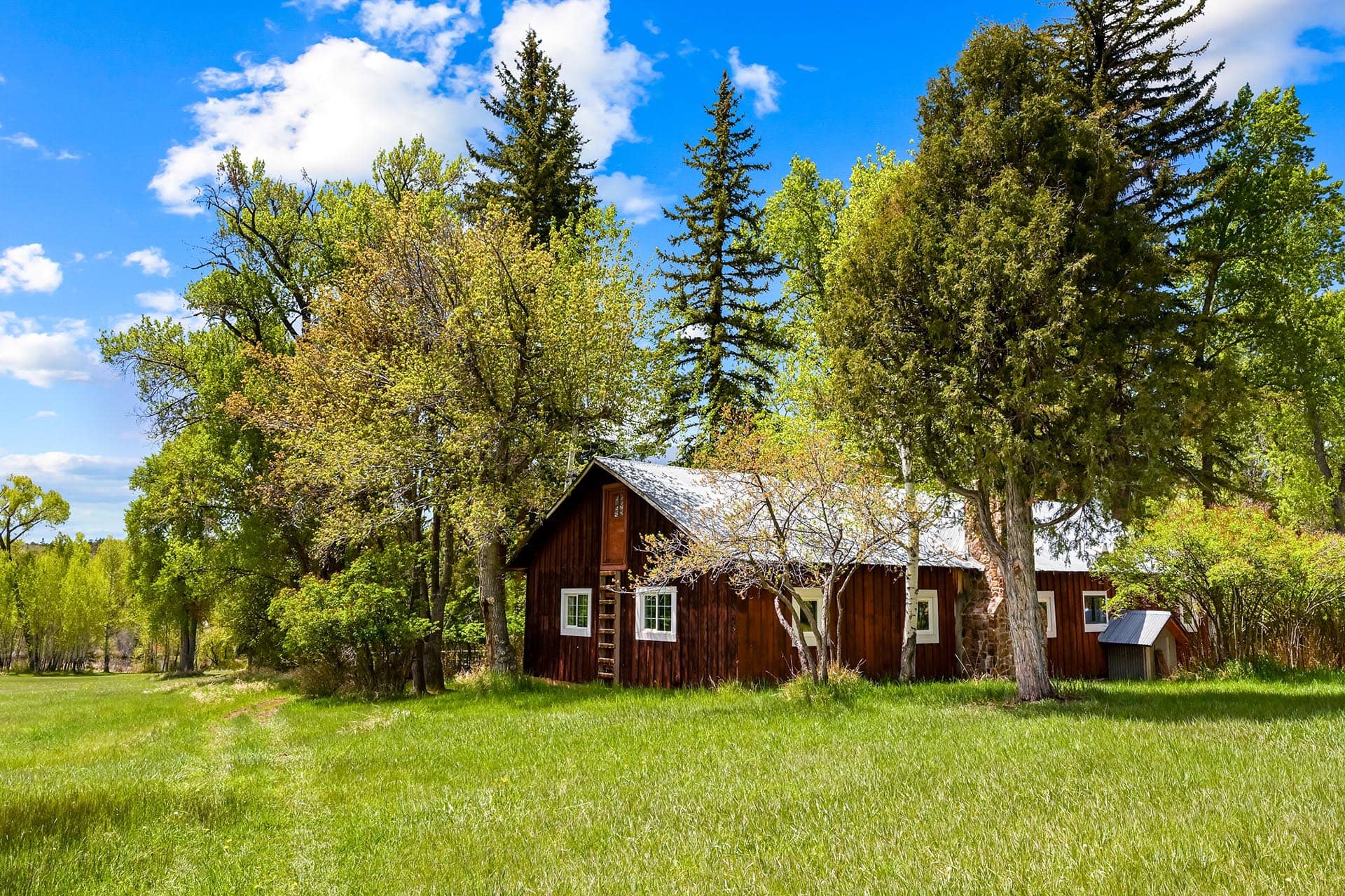 rustic cabin in open field residential estate property for sale old canones creek ranch