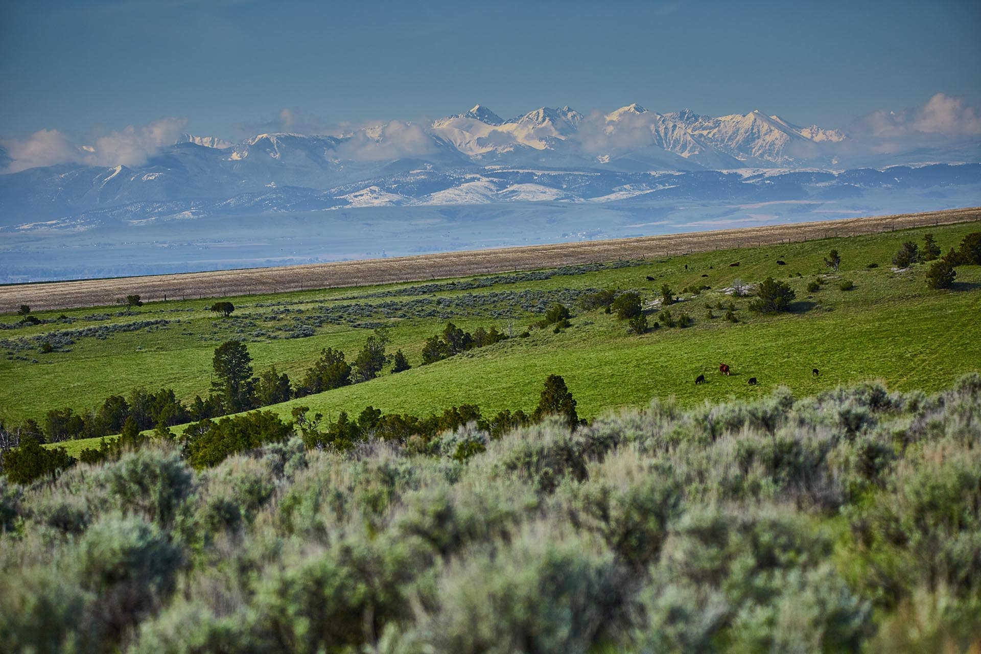 sage montana golden meadow at sxs ranch