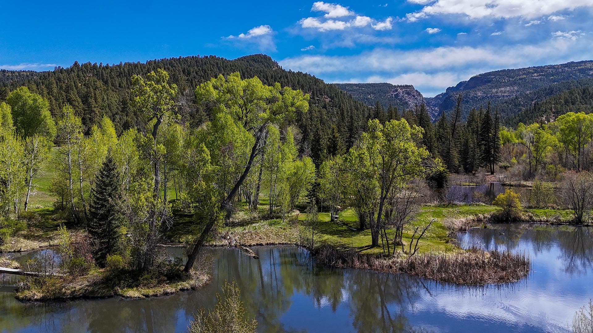 Scenic river valley with green trees, calm water, and distant forested hills under a bright blue sky.