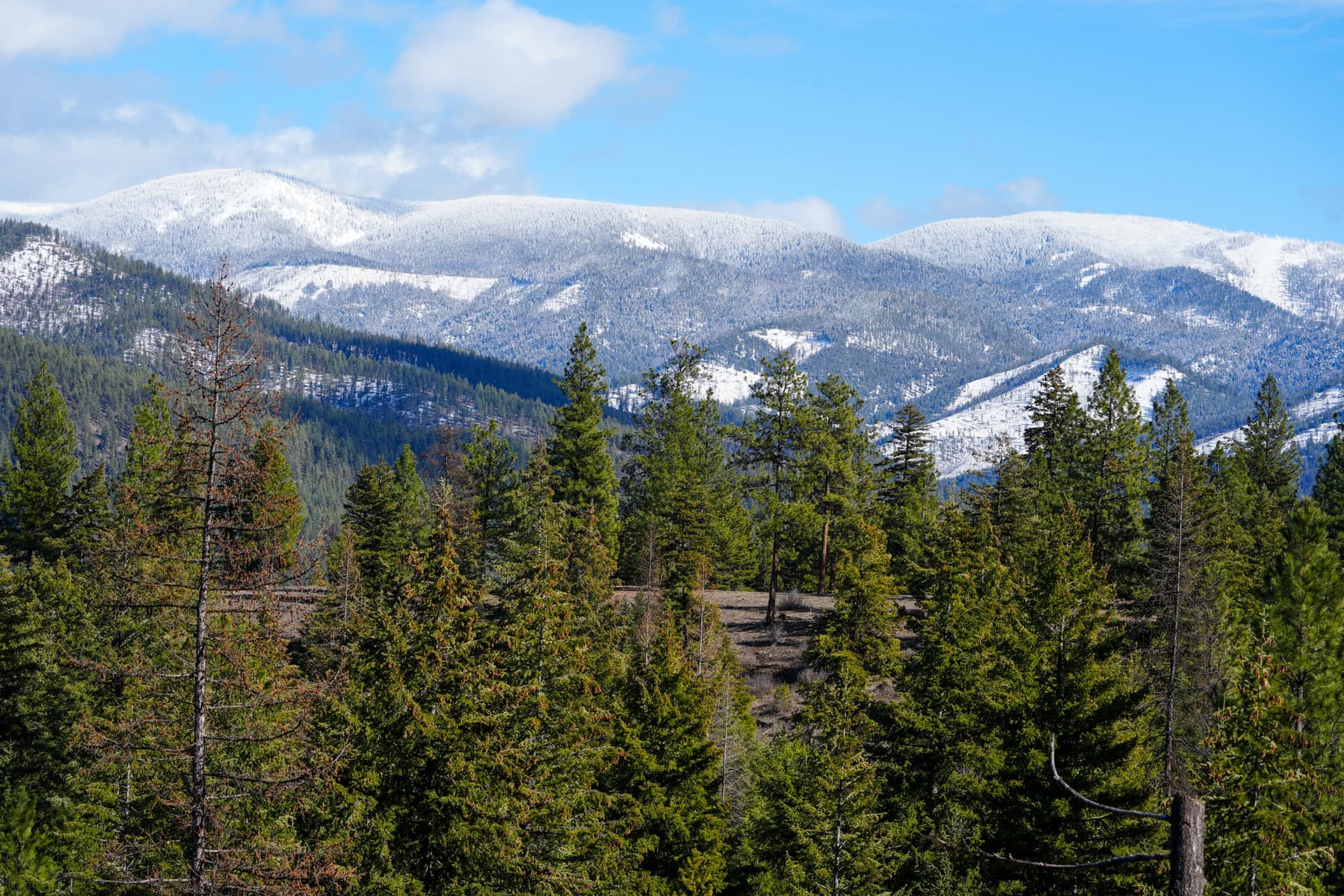 snow capped mountain montana clark fork river sporting ranch