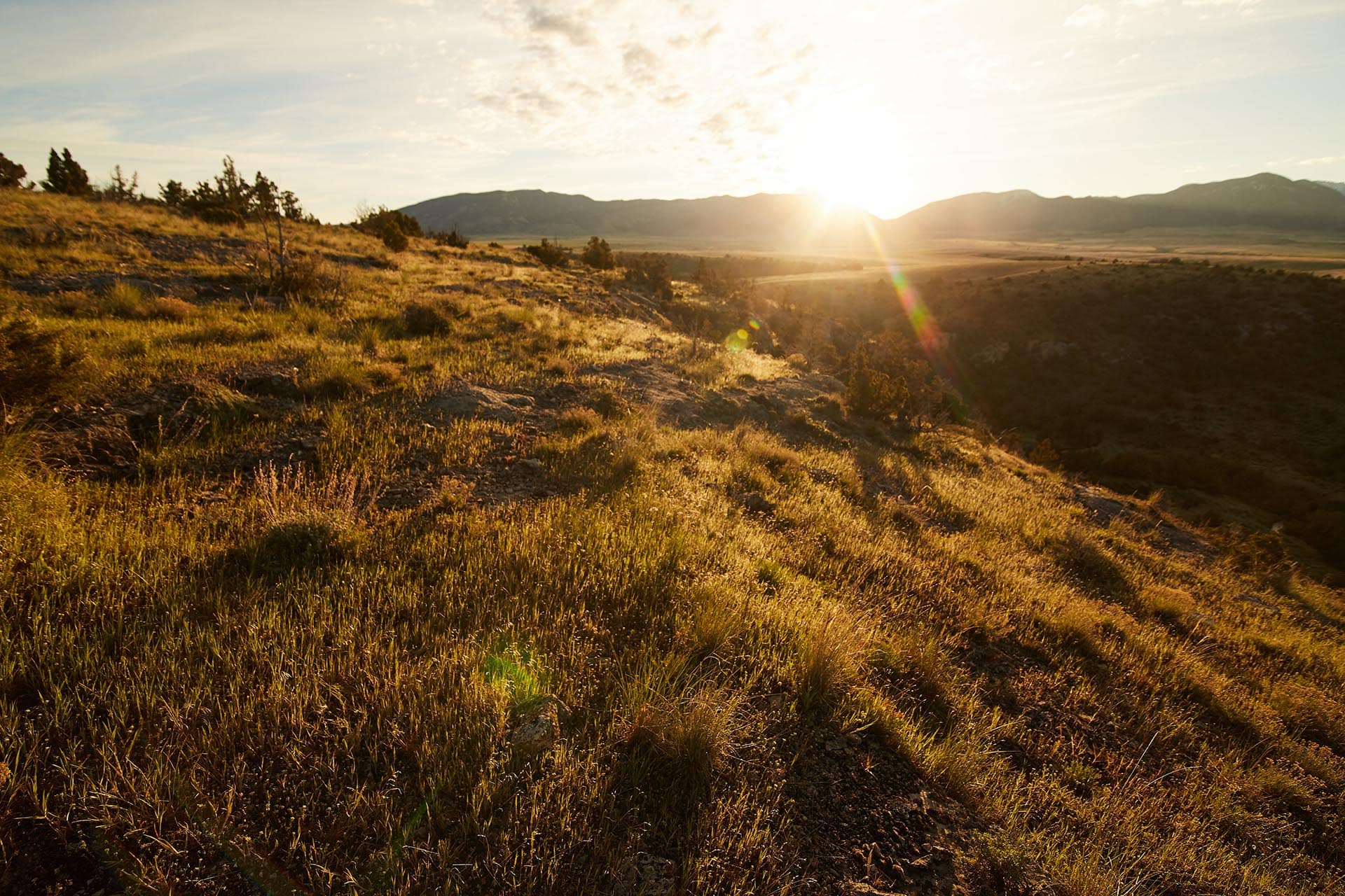 sunset montana golden meadow at sxs ranch
