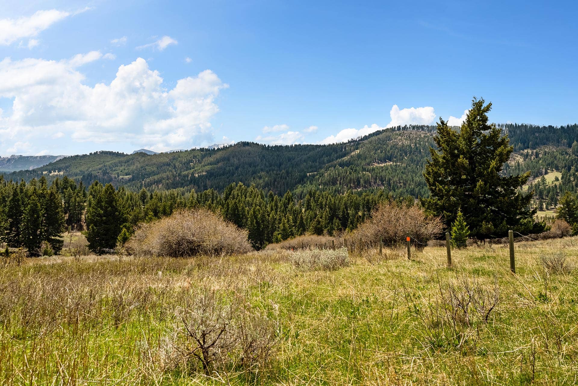 timbered hillside land montana harrison hollow