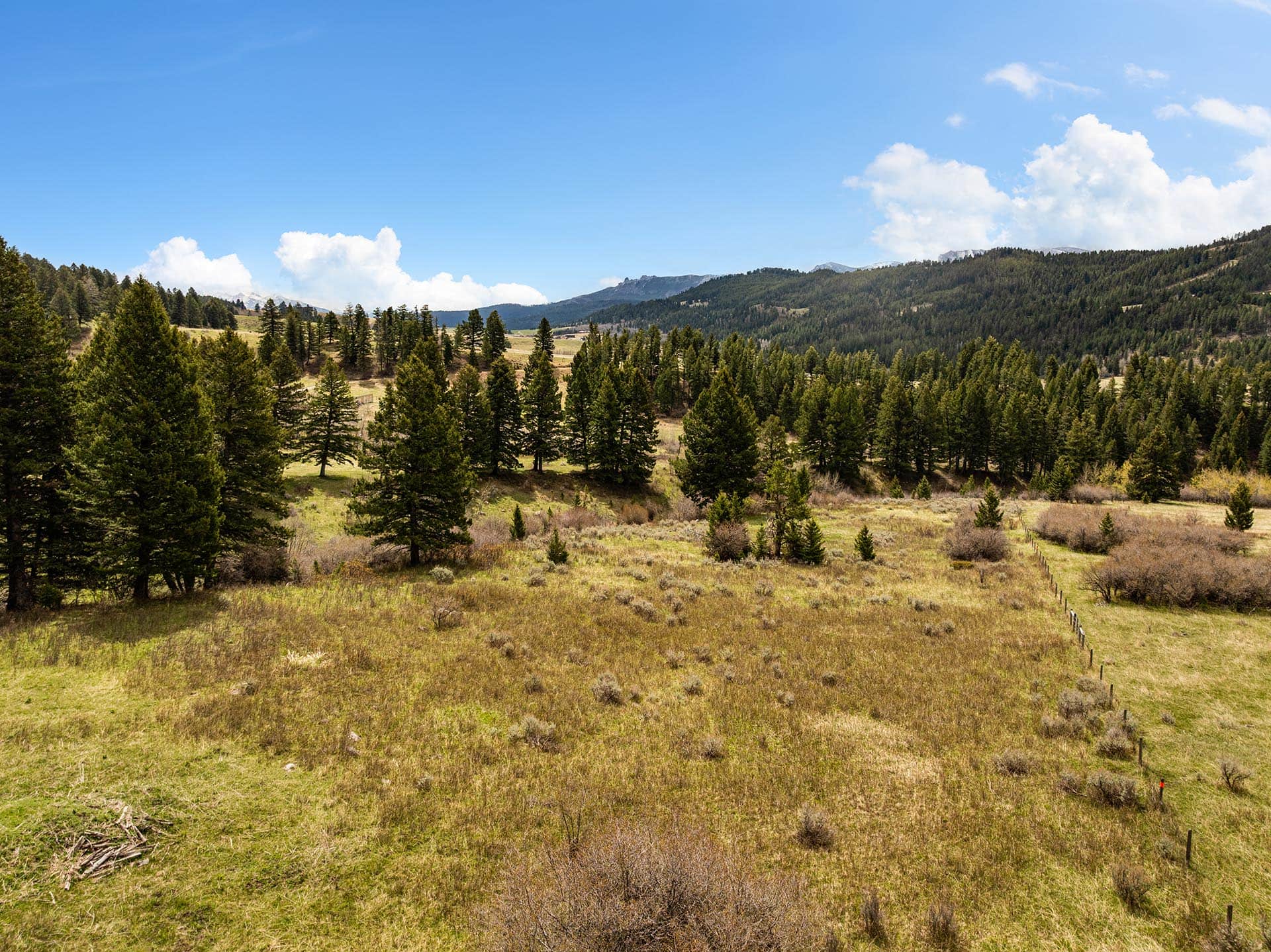 timbered land with fence montana harrison hollow