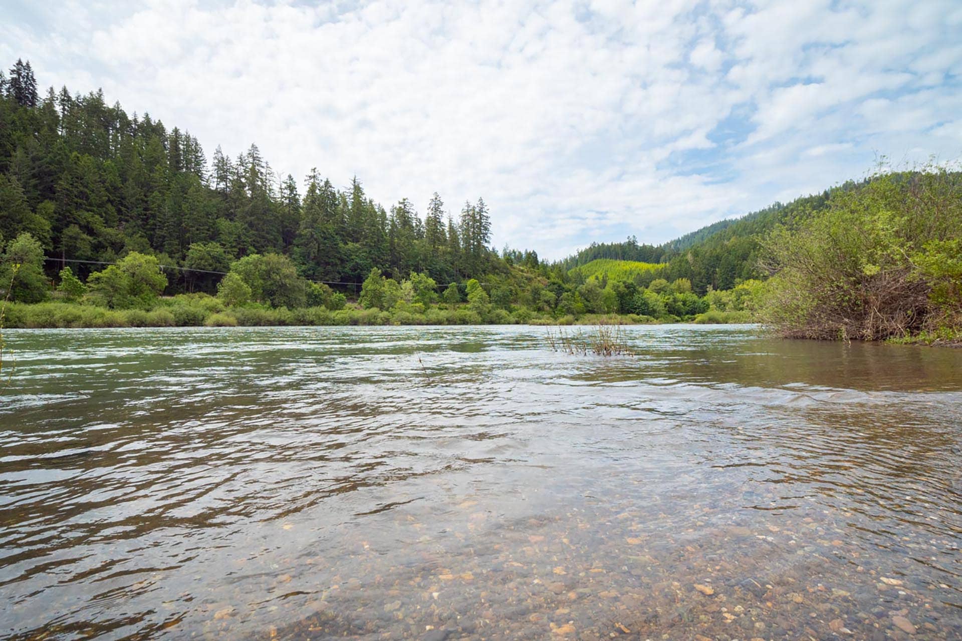 umpqua river shallow water and forest view oregon umpqua river retreat at cougar creek
