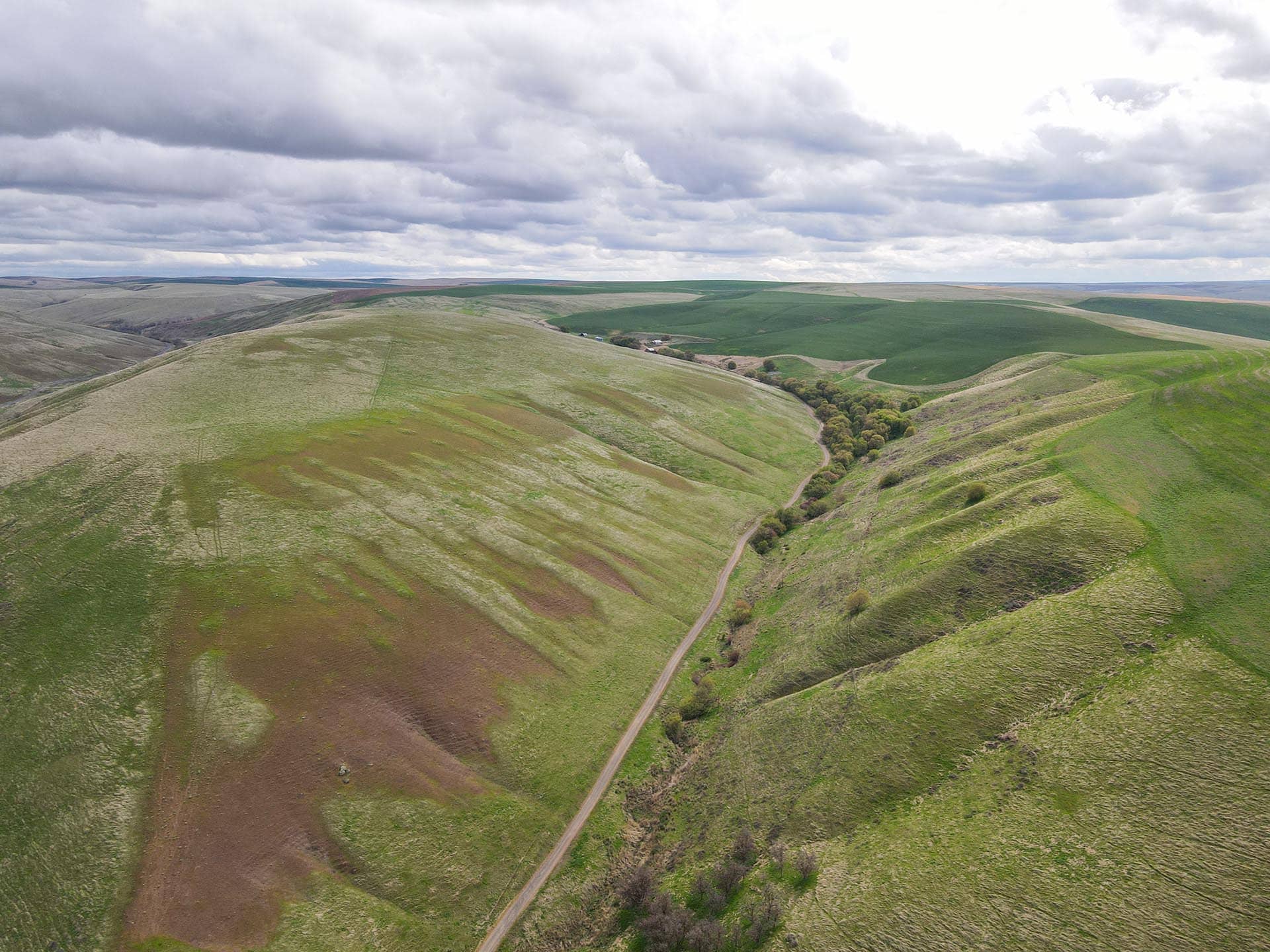 valley view washington whitmore hereford cattle ranch