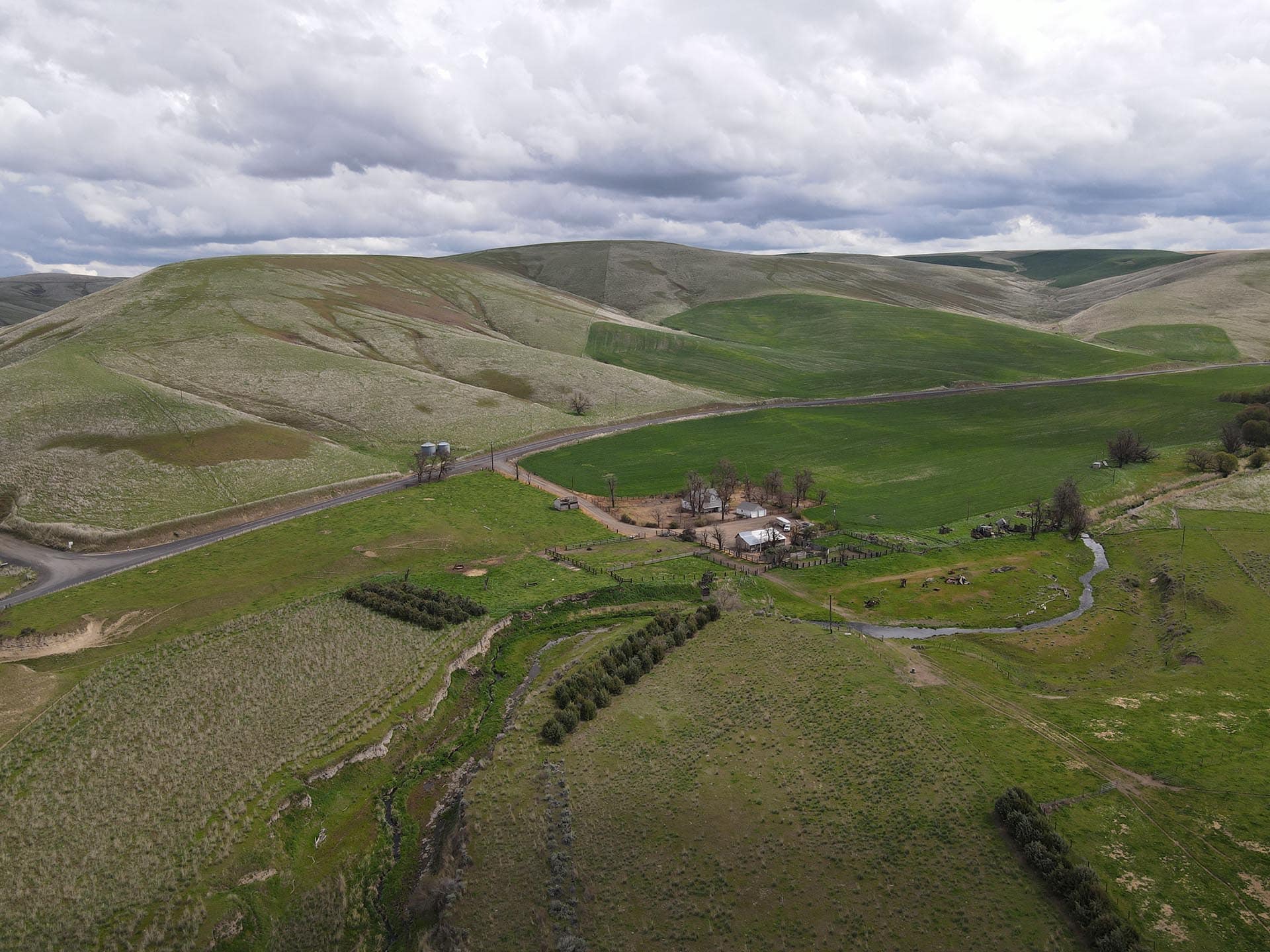 view of homestead and land washington whitmore hereford cattle ranch