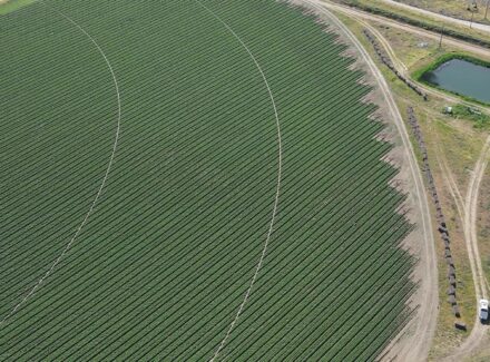 washington farms for sale preston organic irrigated farm