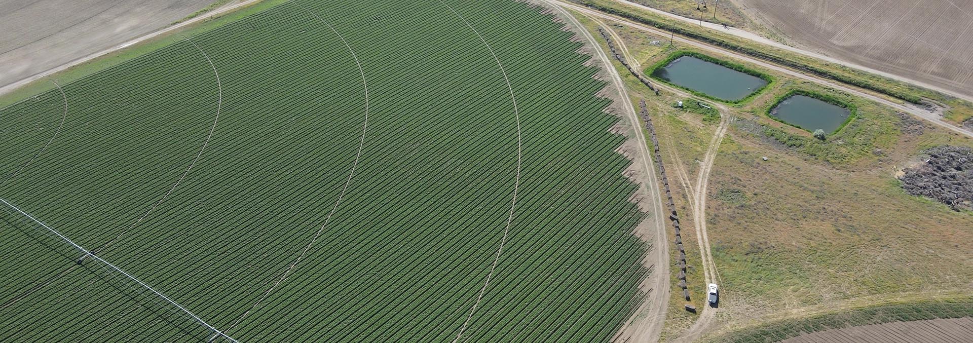 washington farms for sale preston organic irrigated farm