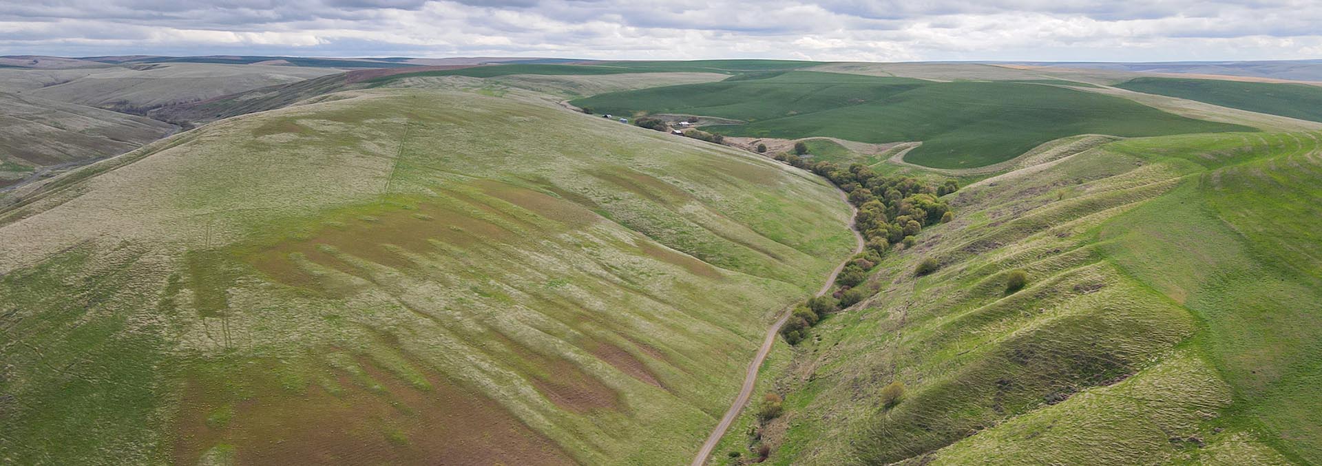 washington cattle ranch for sale whitmore hereford cattle ranch